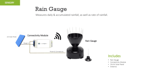 Rain gauge