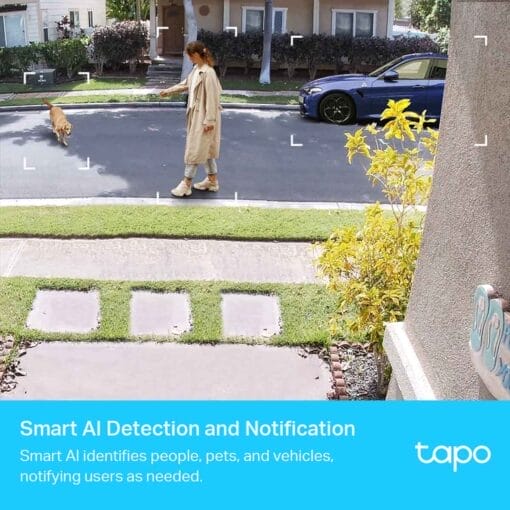 Tapo C420S2 AI Detection and Notification